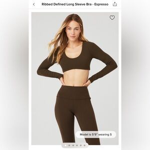 Alo Yoga Ribbed Define Long Sleeve Bra / color: espresso / size: s or m